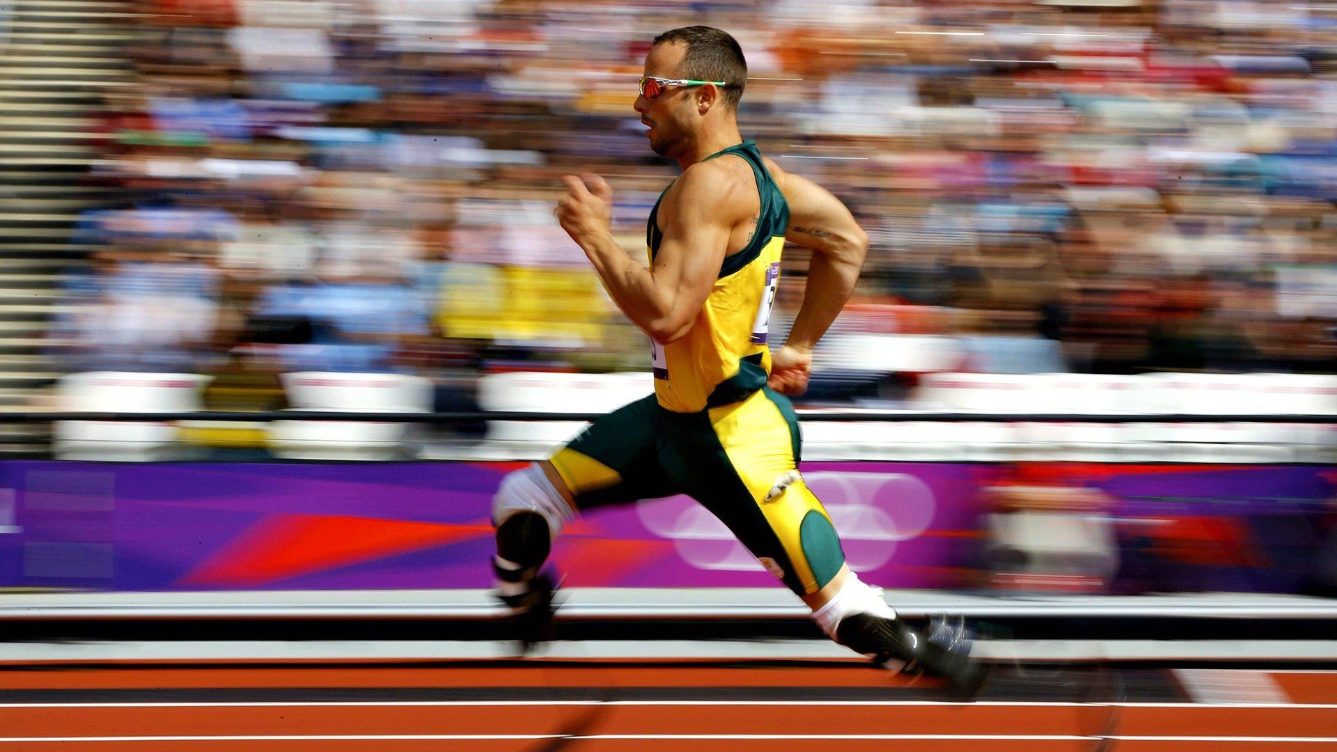 九游官网-泰国马术协会设立“Lamb”奖学金，支持传统马术研究。